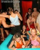 ---- WAM SEX ORGIES ---- Sex and Food and Rock'n' Roll